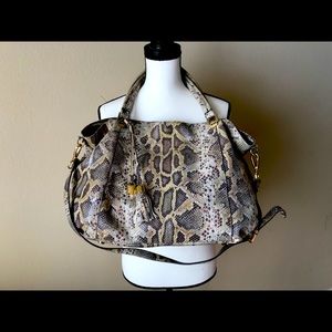 🤎 GILI Neutral Cobra Roma 4 🤎